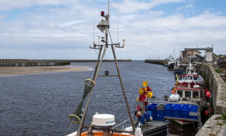 Fishing boat 