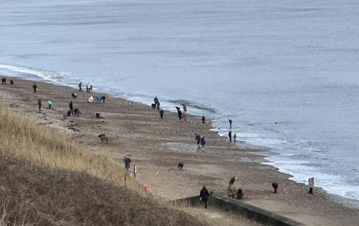 Glass pickers on Seaham Beach in February 2024