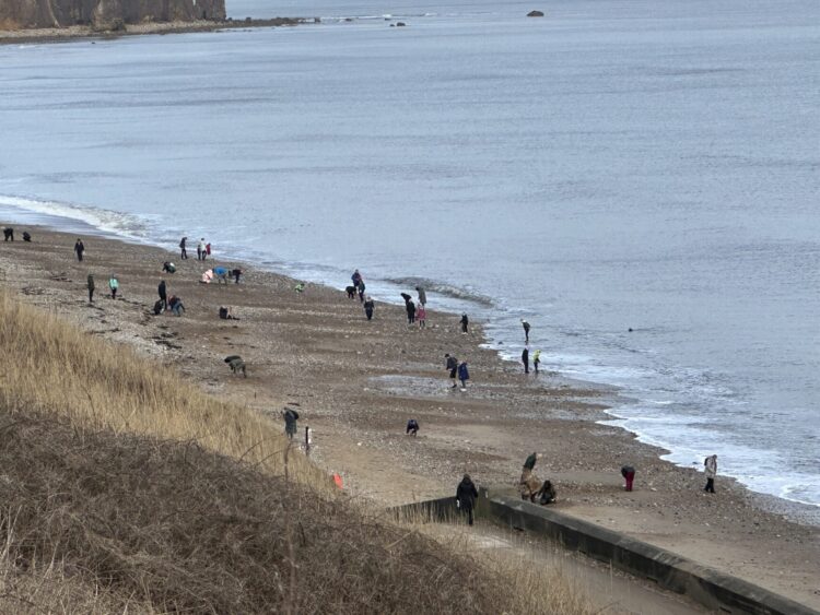 Glass pickers on Seaham Beach in February 2024